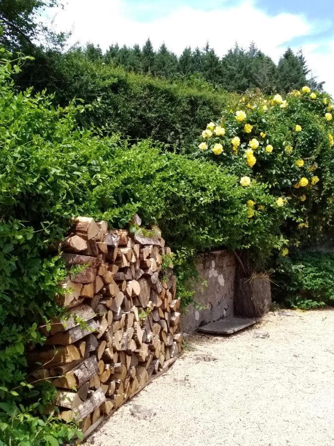 La Maison Du Potager Saint-Racho Bagian luar foto