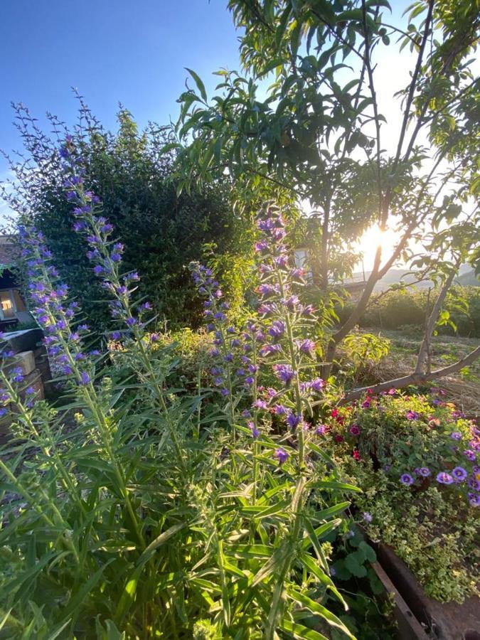 La Maison Du Potager Saint-Racho Bagian luar foto