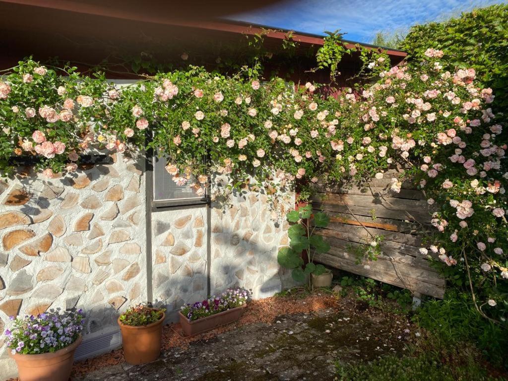 La Maison Du Potager Saint-Racho Bagian luar foto